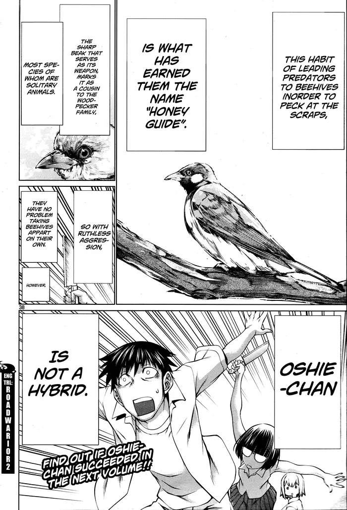 Killing Bites Chapter 69 image 37_optimized